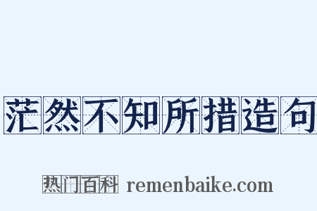 茫然不知所措造句是什么意思的图片